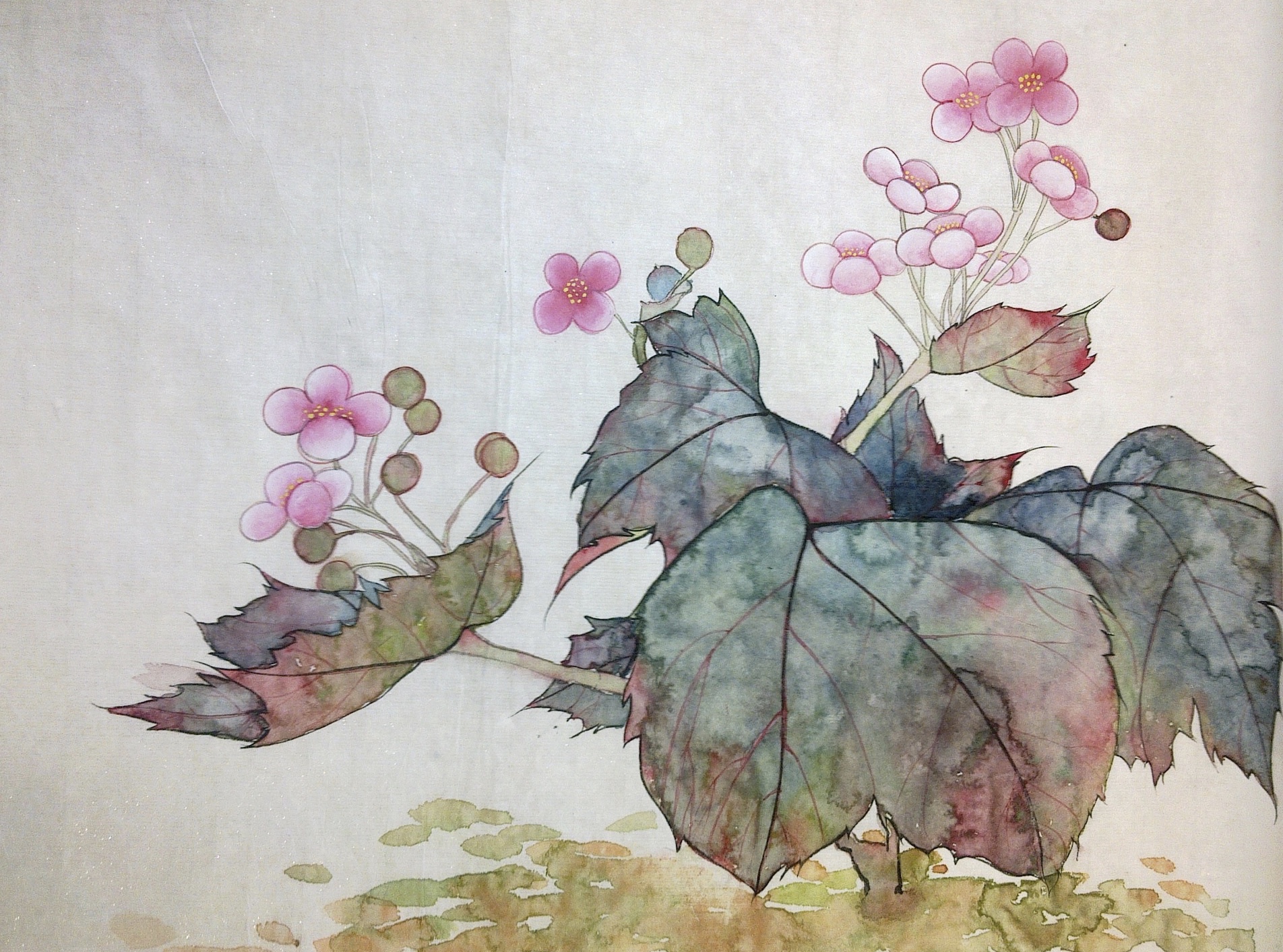 Blossom